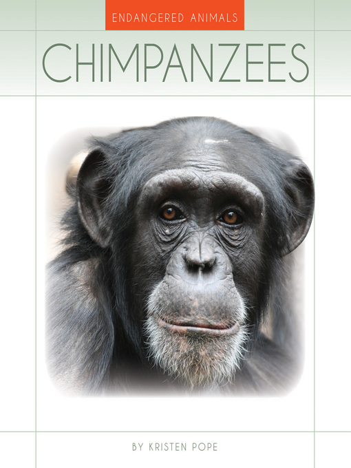 Title details for Chimpanzees by Kristen Pope - Available